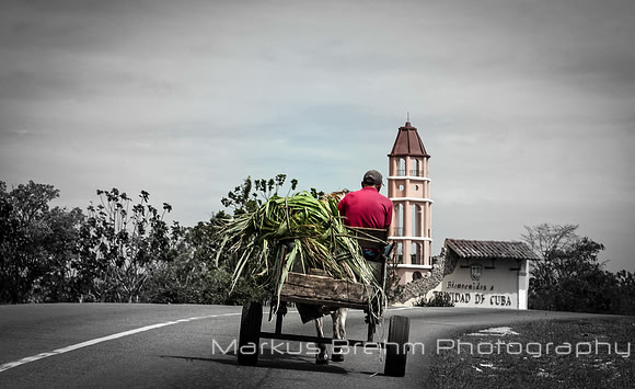 Bienvenidos Trinidad