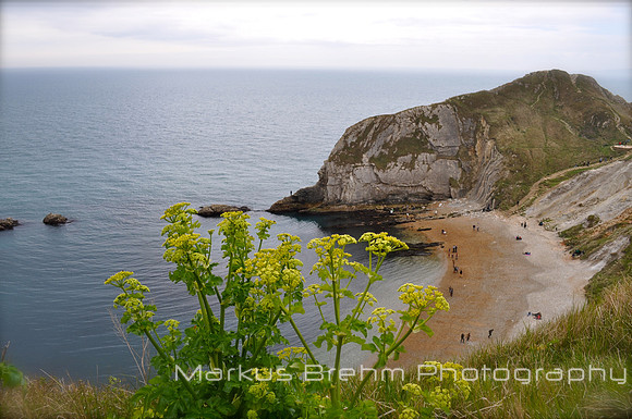 Cove along the Coast
