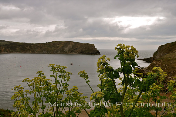 Lulworth Cove 3