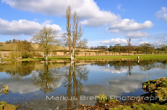 Thames Valley Reflection