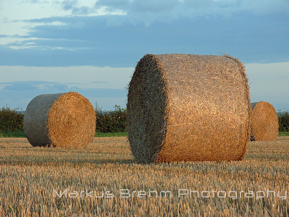 Straw barrell