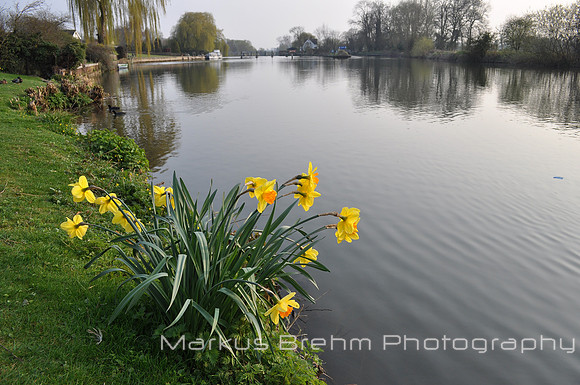Oxfordshire Landscape