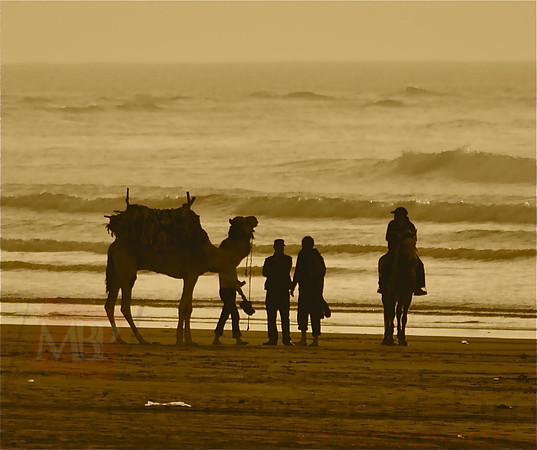 A camel ride